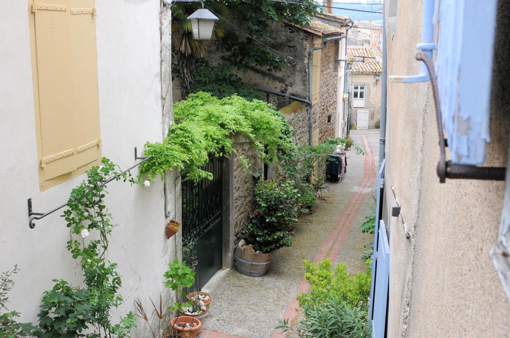 Maison Rives - Village Du Livre De Montolieu מראה חיצוני תמונה